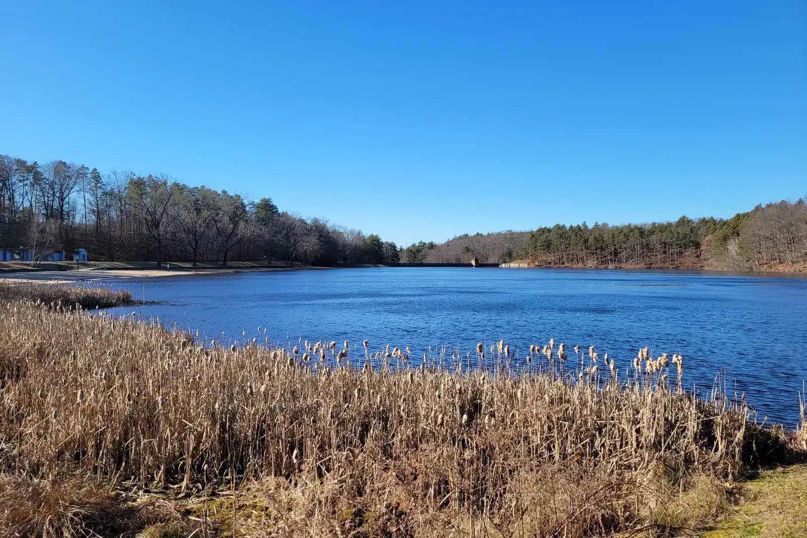 Chicopee
